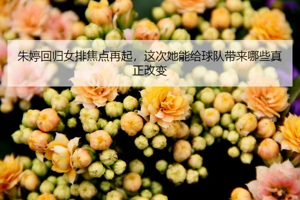 朱婷回归女排焦点再起，这次她能给球队带来哪些真正改变
